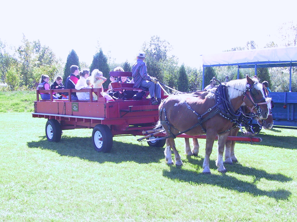 Hayrides