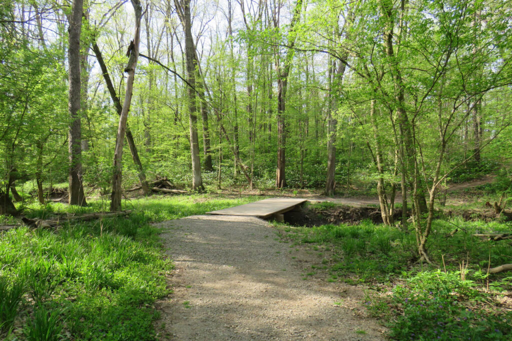 Kendrick Woods